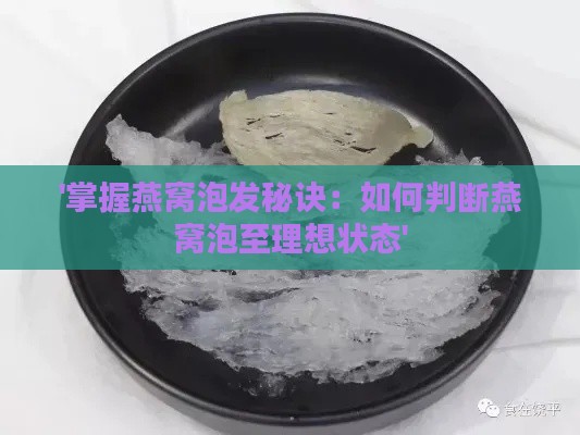 '掌握燕窝泡发秘诀：如何判断燕窝泡至理想状态'