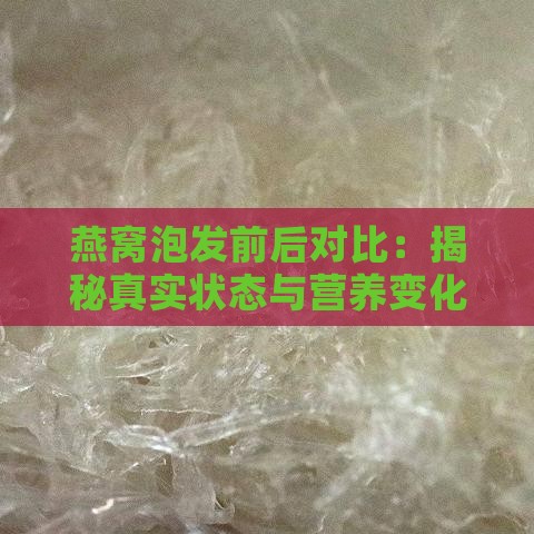 燕窝泡发前后对比：揭秘真实状态与营养变化差异