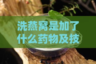 洗燕窝是加了什么药物及技巧：使用药物水清洗的秘诀