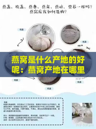 燕窝是什么产地的好呢：燕窝产地在哪里更好？