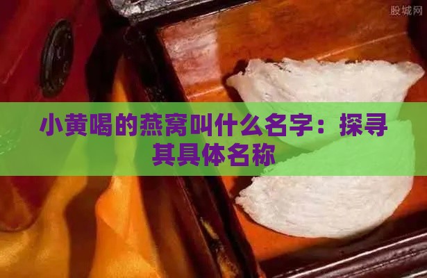 小黄喝的燕窝叫什么名字：探寻其具体名称