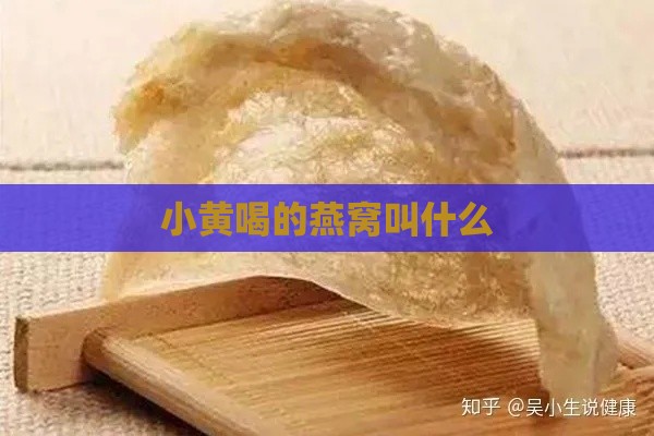 小黄喝的燕窝叫什么