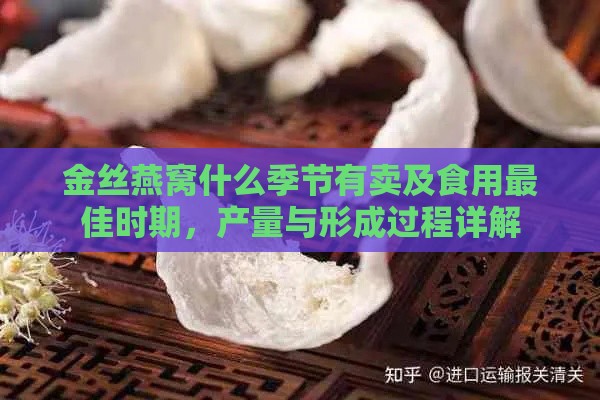 金丝燕窝什么季节有卖及食用更佳时期，产量与形成过程详解