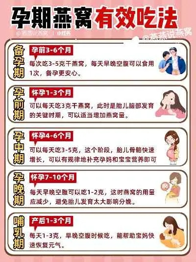 怀孕什么时间补燕窝