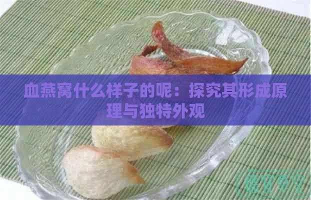 血燕窝什么样子的呢：探究其形成原理与独特外观