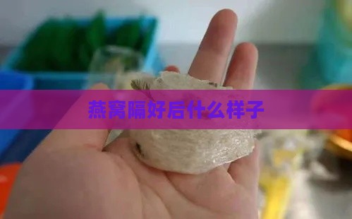 燕窝隔好后什么样子