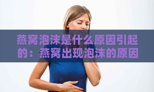 燕窝泡沫是什么原因引起的：燕窝出现泡沫的原因探究