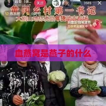 血燕窝是燕子的什么