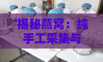 '揭秘燕窝：纯手工采集与加工全过程解析'