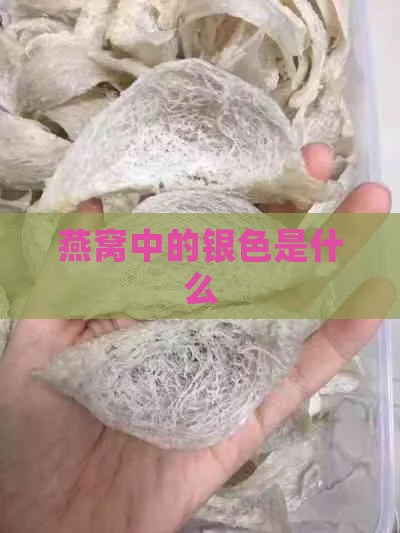 燕窝中的银色是什么