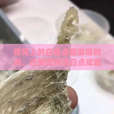 燕窝上的白色点是发霉的吗，还能吃吗及白点成因解析