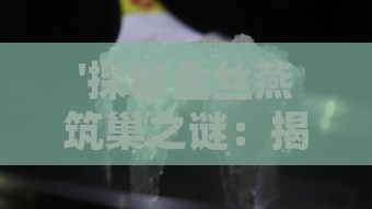 '探秘金丝燕筑巢之谜：揭秘燕窝背后的珍贵原料'