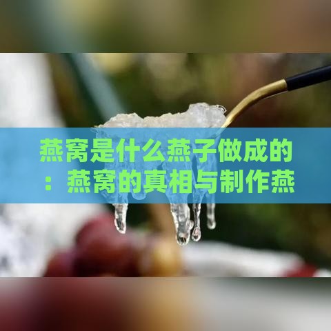 燕窝是什么燕子做成的：燕窝的真相与制作燕子介绍