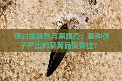 '探讨金丝燕与黑腹燕：哪种燕子产出的燕窝品质更佳？'