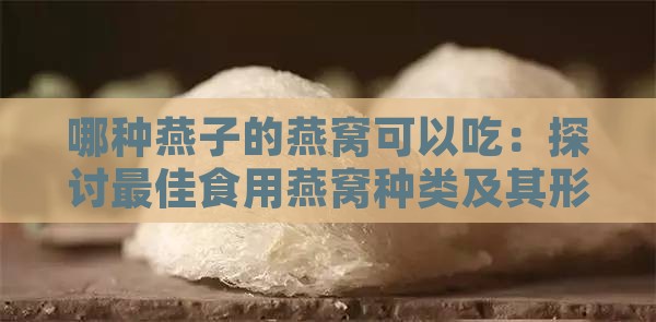 哪种燕子的燕窝可以吃：探讨更佳食用燕窝种类及其形成原理