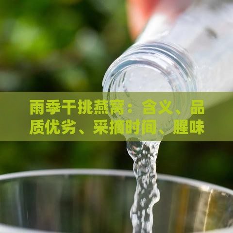 雨季干挑燕窝：含义、品质优劣、采摘时间、腥味程度及蛋白质含量解析