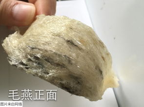 雨季燕窝攻略：大盏精选与全方位食用指南