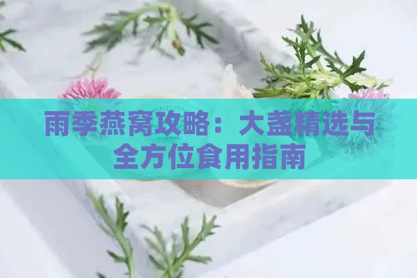 雨季燕窝攻略：大盏精选与全方位食用指南