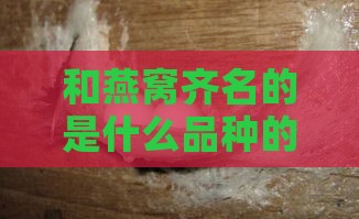 和燕窝齐名的是什么品种的燕窝及其燕子品种介绍