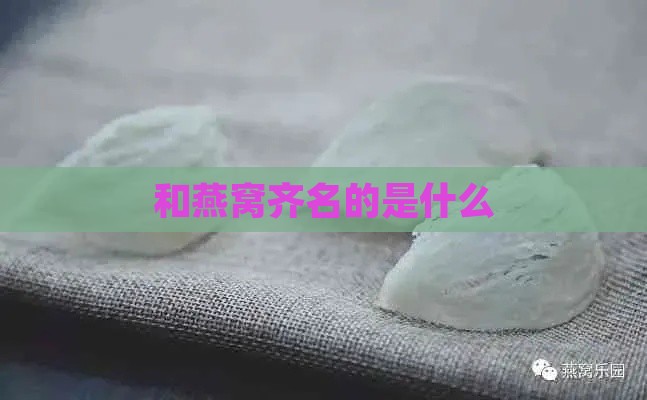 和燕窝齐名的是什么