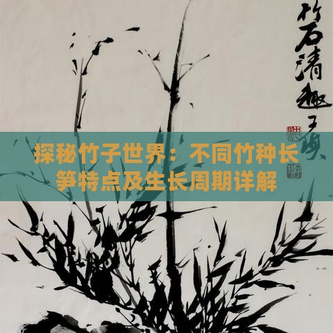 探秘竹子世界：不同竹种长笋特点及生长周期详解