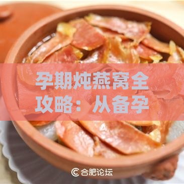 孕期炖燕窝全攻略：从备孕到产后，全方位食谱推荐与营养解析