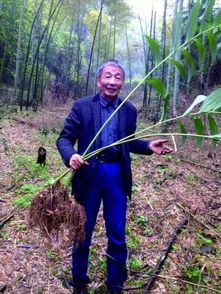 涓泉农民揭秘捣燕窝之秘技