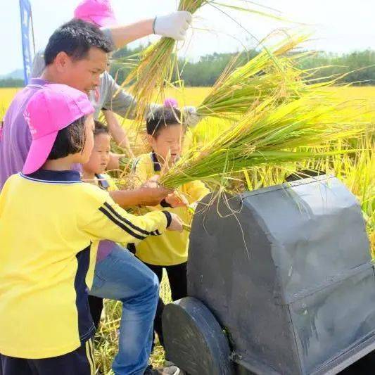 涓泉农民揭秘捣燕窝之秘技