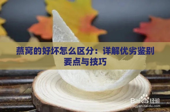 燕窝的好坏怎么区分：详解优劣鉴别要点与技巧