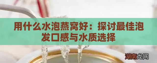 用什么水泡燕窝好：探讨更佳泡发口感与水质选择