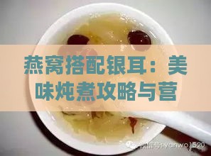 燕窝搭配银耳：美味炖煮攻略与营养双赢秘诀