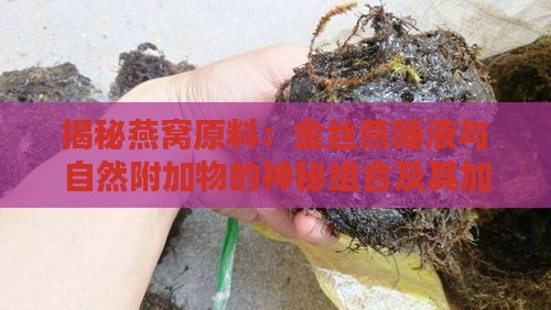 揭秘燕窝原料：金丝燕唾液与自然附加物的神秘组合及其加工过程