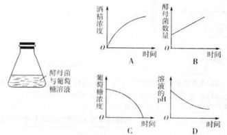 燕窝是什么东西，是怎么形成的？探究其来源与形成过程