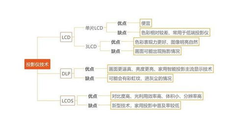 燕窝是什么东西，是怎么形成的？探究其来源与形成过程