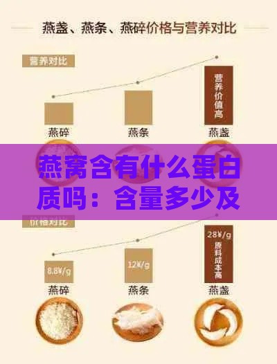 燕窝含有什么蛋白质吗：含量多少及食用建议