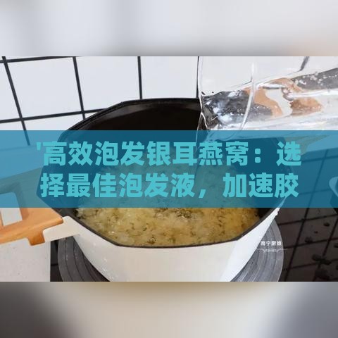 '高效泡发银耳燕窝：选择更佳泡发液，加速胶质释放，提升口感与滋养效果'