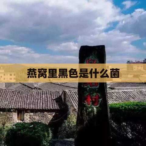 燕窝里黑色是什么菌