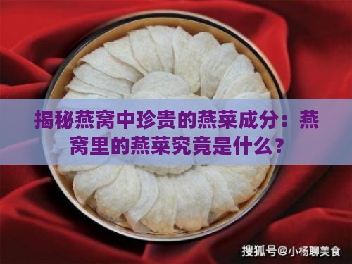 揭秘燕窝中珍贵的燕菜成分：燕窝里的燕菜究竟是什么？