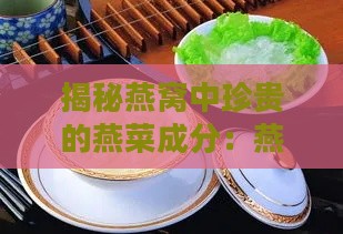 揭秘燕窝中珍贵的燕菜成分：燕窝里的燕菜究竟是什么？