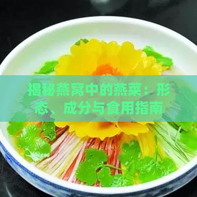 揭秘燕窝中的燕菜：形态、成分与食用指南